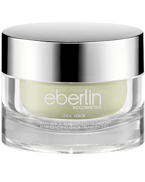 GEL CONTROL SEBO NOCHE- EBERLIN